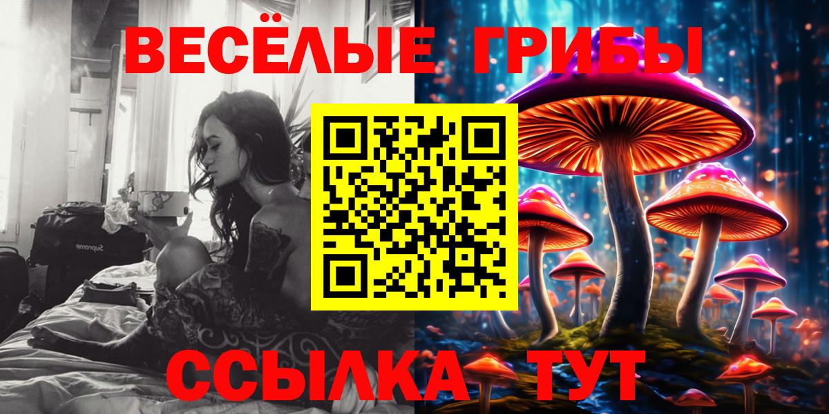 Аргун  Псилоцибиновые грибы Cubensis  Псилоцибиновые грибы Psilocybe  Вход с VPN 
