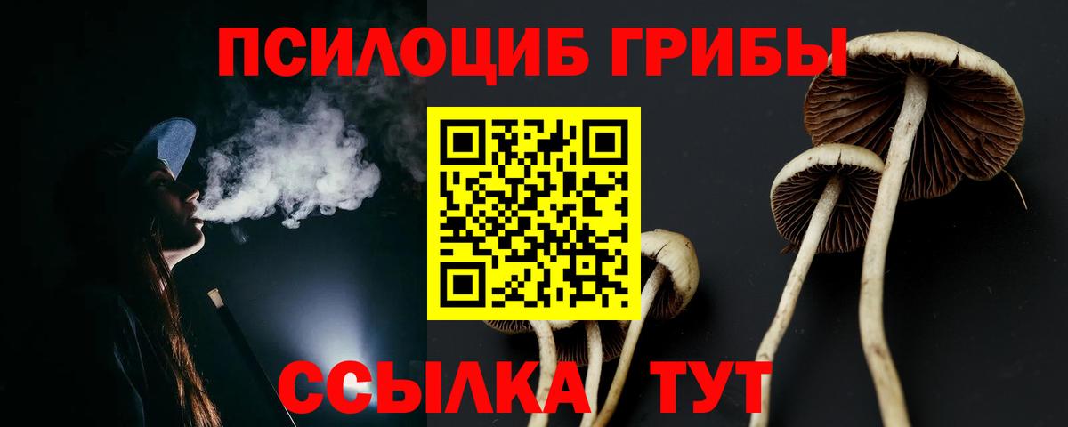 Псилоцибиновые грибы Psilocybe Аргун